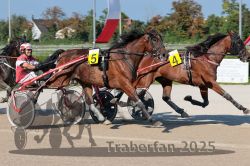 Dateiname=20250810_r04_079_R04_0136.jpg
Dateigröße=351KB
Abmessungen: 1000x667
hinzugefügt am: 16. August 2025 20250810_r04_079_R04_0136.jpg