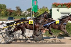 Dateiname=20250810_r04_080_R04_0138.jpg
Dateigröße=341KB
Abmessungen: 1000x667
hinzugefügt am: 16. August 2025 20250810_r04_080_R04_0138.jpg