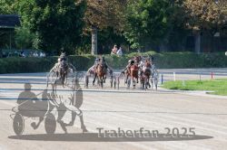 Dateiname=20250810_r04_081_R04_0143.jpg
Dateigröße=373KB
Abmessungen: 1000x667
hinzugefügt am: 16. August 2025 20250810_r04_081_R04_0143.jpg