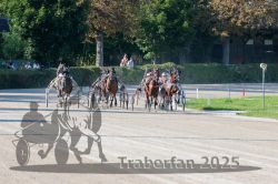 Dateiname=20250810_r04_083_R04_0145.jpg
Dateigröße=374KB
Abmessungen: 1000x667
hinzugefügt am: 16. August 2025 20250810_r04_083_R04_0145.jpg