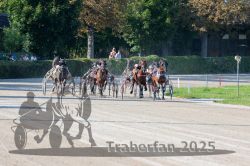 Dateiname=20250810_r04_084_R04_0146.jpg
Dateigröße=371KB
Abmessungen: 1000x667
hinzugefügt am: 16. August 2025 20250810_r04_084_R04_0146.jpg