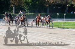 Dateiname=20250810_r04_085_R04_0147.jpg
Dateigröße=371KB
Abmessungen: 1000x667
hinzugefügt am: 16. August 2025 20250810_r04_085_R04_0147.jpg