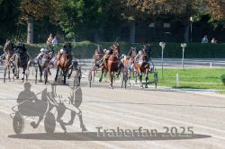 Dateiname=20250810_r04_086_R04_0149.jpg
Dateigröße=371KB
Abmessungen: 1000x667
hinzugefügt am: 16. August 2025 20250810_r04_086_R04_0149.jpg