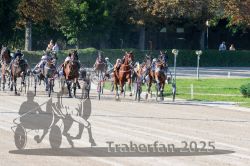 Dateiname=20250810_r04_087_R04_0150.jpg
Dateigröße=380KB
Abmessungen: 1000x667
hinzugefügt am: 16. August 2025 20250810_r04_087_R04_0150.jpg