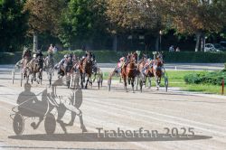 Dateiname=20250810_r04_088_R04_0152.jpg
Dateigröße=403KB
Abmessungen: 1000x667
hinzugefügt am: 16. August 2025 20250810_r04_088_R04_0152.jpg