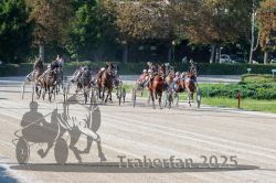 Dateiname=20250810_r04_090_R04_0155.jpg
Dateigröße=415KB
Abmessungen: 1000x667
hinzugefügt am: 16. August 2025 20250810_r04_090_R04_0155.jpg