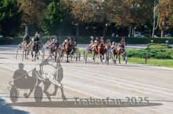 Dateiname=20250810_r04_091_R04_0156.jpg
Dateigröße=409KB
Abmessungen: 1000x667
hinzugefügt am: 16. August 2025 20250810_r04_091_R04_0156.jpg