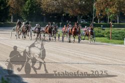 Dateiname=20250810_r04_092_R04_0157.jpg
Dateigröße=404KB
Abmessungen: 1000x667
hinzugefügt am: 16. August 2025 20250810_r04_092_R04_0157.jpg