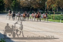 Dateiname=20250810_r04_093_R04_0158.jpg
Dateigröße=418KB
Abmessungen: 1000x667
hinzugefügt am: 16. August 2025 20250810_r04_093_R04_0158.jpg