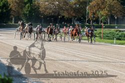 Dateiname=20250810_r04_094_R04_0159.jpg
Dateigröße=425KB
Abmessungen: 1000x667
hinzugefügt am: 16. August 2025 20250810_r04_094_R04_0159.jpg