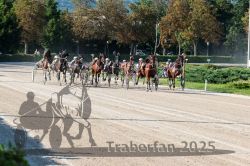 Dateiname=20250810_r04_095_R04_0161.jpg
Dateigröße=439KB
Abmessungen: 1000x667
hinzugefügt am: 16. August 2025 20250810_r04_095_R04_0161.jpg