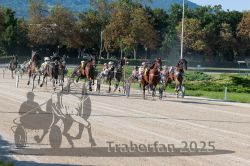 Dateiname=20250810_r04_096_R04_0162.jpg
Dateigröße=428KB
Abmessungen: 1000x667
hinzugefügt am: 16. August 2025 20250810_r04_096_R04_0162.jpg