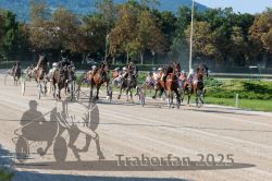 Dateiname=20250810_r04_097_R04_0163.jpg
Dateigröße=419KB
Abmessungen: 1000x667
hinzugefügt am: 16. August 2025 20250810_r04_097_R04_0163.jpg