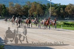 Dateiname=20250810_r04_098_R04_0164.jpg
Dateigröße=420KB
Abmessungen: 1000x667
hinzugefügt am: 16. August 2025 20250810_r04_098_R04_0164.jpg