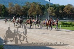 Dateiname=20250810_r04_099_R04_0165.jpg
Dateigröße=421KB
Abmessungen: 1000x667
hinzugefügt am: 16. August 2025 20250810_r04_099_R04_0165.jpg