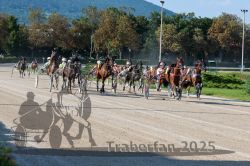 Dateiname=20250810_r04_100_R04_0166.jpg
Dateigröße=418KB
Abmessungen: 1000x667
hinzugefügt am: 16. August 2025 20250810_r04_100_R04_0166.jpg