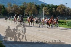 Dateiname=20250810_r04_101_R04_0167.jpg
Dateigröße=405KB
Abmessungen: 1000x667
hinzugefügt am: 16. August 2025 20250810_r04_101_R04_0167.jpg