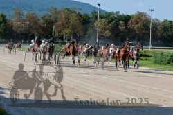 Dateiname=20250810_r04_102_R04_0168.jpg
Dateigröße=389KB
Abmessungen: 1000x667
hinzugefügt am: 16. August 2025 20250810_r04_102_R04_0168.jpg