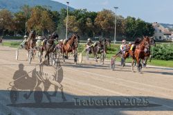 Dateiname=20250810_r04_104_R04_0170.jpg
Dateigröße=402KB
Abmessungen: 1000x667
hinzugefügt am: 16. August 2025 20250810_r04_104_R04_0170.jpg