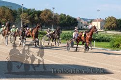 Dateiname=20250810_r04_106_R04_0172.jpg
Dateigröße=384KB
Abmessungen: 1000x667
hinzugefügt am: 16. August 2025 20250810_r04_106_R04_0172.jpg