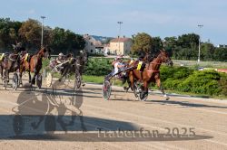 Dateiname=20250810_r04_108_R04_0174.jpg
Dateigröße=374KB
Abmessungen: 1000x667
hinzugefügt am: 16. August 2025 20250810_r04_108_R04_0174.jpg