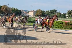 Dateiname=20250810_r04_109_R04_0175.jpg
Dateigröße=381KB
Abmessungen: 1000x667
hinzugefügt am: 16. August 2025 20250810_r04_109_R04_0175.jpg