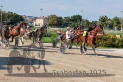 Dateiname=20250810_r04_110_R04_0176.jpg
Dateigröße=377KB
Abmessungen: 1000x667
hinzugefügt am: 16. August 2025 20250810_r04_110_R04_0176.jpg