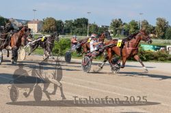 Dateiname=20250810_r04_111_R04_0177.jpg
Dateigröße=358KB
Abmessungen: 1000x667
hinzugefügt am: 16. August 2025 20250810_r04_111_R04_0177.jpg