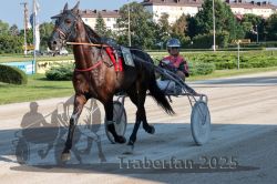 Dateiname=20250810_r05_008_R05_0014.jpg
Dateigröße=395KB
Abmessungen: 1000x667
hinzugefügt am: 16. August 2025 20250810_r05_008_R05_0014.jpg