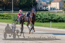 Dateiname=20250810_r05_037_R05_0062.jpg
Dateigröße=346KB
Abmessungen: 1000x667
hinzugefügt am: 16. August 2025 20250810_r05_037_R05_0062.jpg