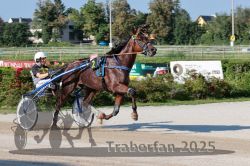 Dateiname=20250810_r05_041_R05_0068.jpg
Dateigröße=363KB
Abmessungen: 1000x667
hinzugefügt am: 16. August 2025 20250810_r05_041_R05_0068.jpg