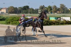 Dateiname=20250810_r05_043_R05_0072.jpg
Dateigröße=321KB
Abmessungen: 1000x667
hinzugefügt am: 16. August 2025 20250810_r05_043_R05_0072.jpg