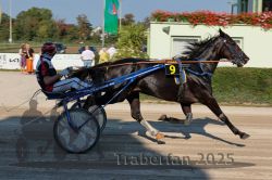 Dateiname=20250810_r05_047_R05_0078.jpg
Dateigröße=315KB
Abmessungen: 1000x667
hinzugefügt am: 16. August 2025 20250810_r05_047_R05_0078.jpg