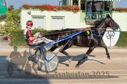 Dateiname=20250810_r05_048_R05_0079.jpg
Dateigröße=339KB
Abmessungen: 1000x667
hinzugefügt am: 16. August 2025 20250810_r05_048_R05_0079.jpg