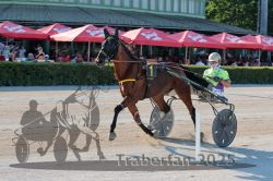 Dateiname=20250810_r05_049_R05_0086.jpg
Dateigröße=344KB
Abmessungen: 1000x667
hinzugefügt am: 16. August 2025 20250810_r05_049_R05_0086.jpg