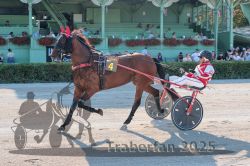 Dateiname=20250810_r05_056_R05_0097.jpg
Dateigröße=354KB
Abmessungen: 1000x667
hinzugefügt am: 16. August 2025 20250810_r05_056_R05_0097.jpg