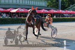 Dateiname=20250810_r05_058_R05_0101.jpg
Dateigröße=401KB
Abmessungen: 1000x667
hinzugefügt am: 16. August 2025 20250810_r05_058_R05_0101.jpg