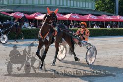 Dateiname=20250810_r05_059_R05_0103.jpg
Dateigröße=399KB
Abmessungen: 1000x667
hinzugefügt am: 16. August 2025 20250810_r05_059_R05_0103.jpg