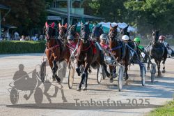 Dateiname=20250810_r05_060_R05_0104.jpg
Dateigröße=405KB
Abmessungen: 1000x667
hinzugefügt am: 16. August 2025 20250810_r05_060_R05_0104.jpg