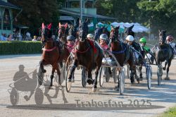 Dateiname=20250810_r05_061_R05_0105.jpg
Dateigröße=399KB
Abmessungen: 1000x667
hinzugefügt am: 16. August 2025 20250810_r05_061_R05_0105.jpg