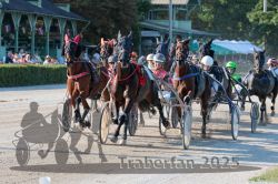 Dateiname=20250810_r05_062_R05_0107.jpg
Dateigröße=392KB
Abmessungen: 1000x667
hinzugefügt am: 16. August 2025 20250810_r05_062_R05_0107.jpg