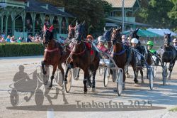 Dateiname=20250810_r05_063_R05_0108.jpg
Dateigröße=413KB
Abmessungen: 1000x667
hinzugefügt am: 16. August 2025 20250810_r05_063_R05_0108.jpg