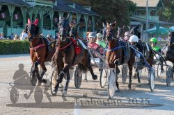 Dateiname=20250810_r05_065_R05_0110.jpg
Dateigröße=405KB
Abmessungen: 1000x667
hinzugefügt am: 16. August 2025 20250810_r05_065_R05_0110.jpg