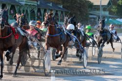 Dateiname=20250810_r05_066_R05_0112.jpg
Dateigröße=361KB
Abmessungen: 1000x667
hinzugefügt am: 16. August 2025 20250810_r05_066_R05_0112.jpg