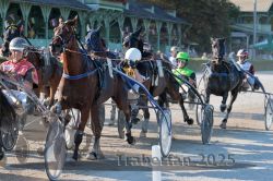 Dateiname=20250810_r05_067_R05_0114.jpg
Dateigröße=375KB
Abmessungen: 1000x667
hinzugefügt am: 16. August 2025 20250810_r05_067_R05_0114.jpg