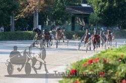 Dateiname=20250810_r05_077_R05_0129.jpg
Dateigröße=366KB
Abmessungen: 1000x667
hinzugefügt am: 16. August 2025 20250810_r05_077_R05_0129.jpg