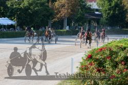 Dateiname=20250810_r05_080_R05_0133.jpg
Dateigröße=399KB
Abmessungen: 1000x667
hinzugefügt am: 16. August 2025 20250810_r05_080_R05_0133.jpg