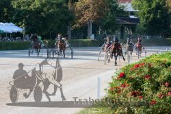 Dateiname=20250810_r05_082_R05_0135.jpg
Dateigröße=400KB
Abmessungen: 1000x667
hinzugefügt am: 16. August 2025 20250810_r05_082_R05_0135.jpg