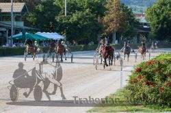 Dateiname=20250810_r05_089_R05_0142.jpg
Dateigröße=436KB
Abmessungen: 1000x667
hinzugefügt am: 16. August 2025 20250810_r05_089_R05_0142.jpg