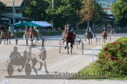 Dateiname=20250810_r05_090_R05_0143.jpg
Dateigröße=409KB
Abmessungen: 1000x667
hinzugefügt am: 16. August 2025 20250810_r05_090_R05_0143.jpg